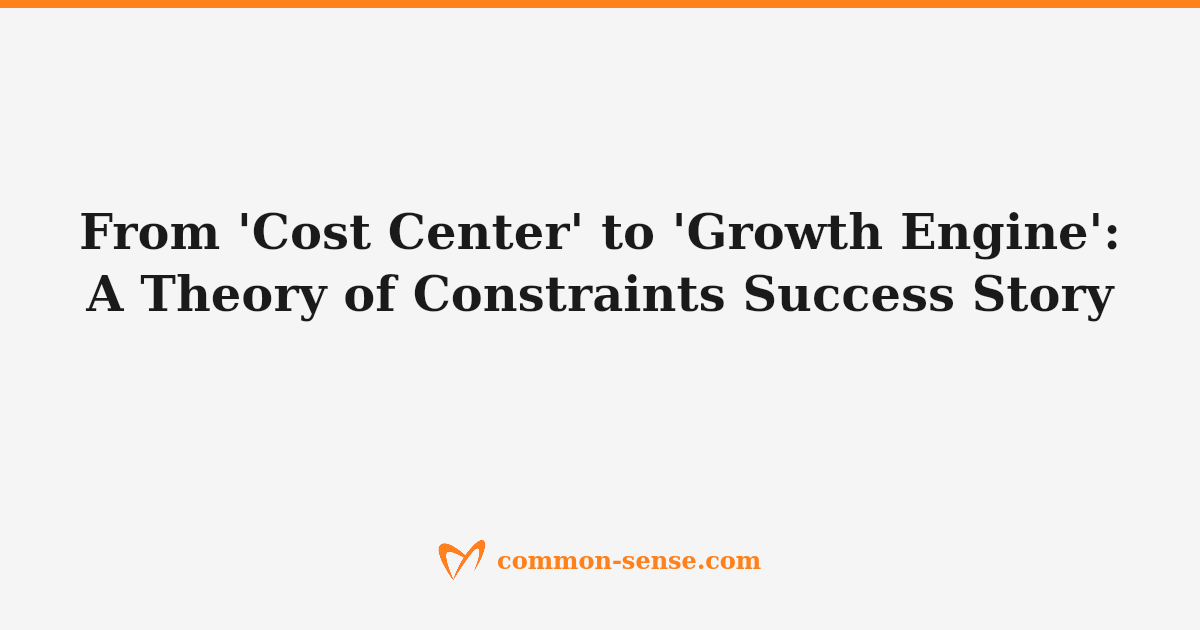 Ultrasound research system with support workflow diagram illustrating Theory of Constraints service model transformation