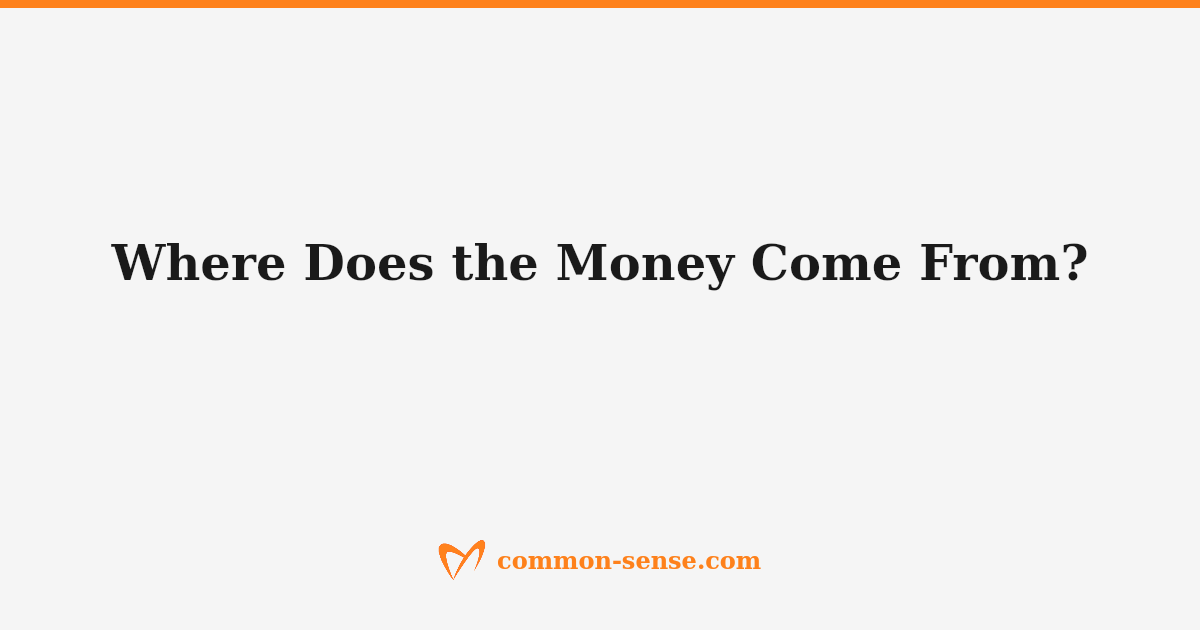 A simple flow diagram showing household surplus flowing through tax levy into public hospital operations, connecting profit to mission